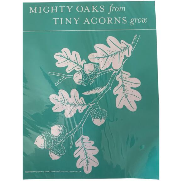 NWT Chalk Couture 8.5 x 11 Reusable Transfer - Picture 3 of 3